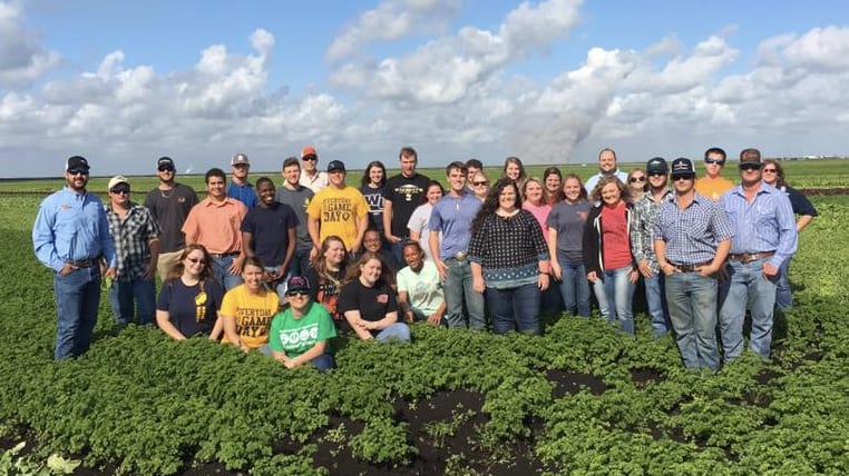 Agriculture - F2F Lettuce Fall 2017 Field Trip