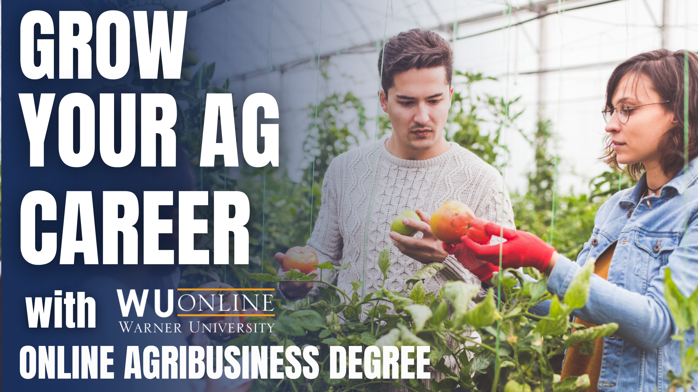 AG