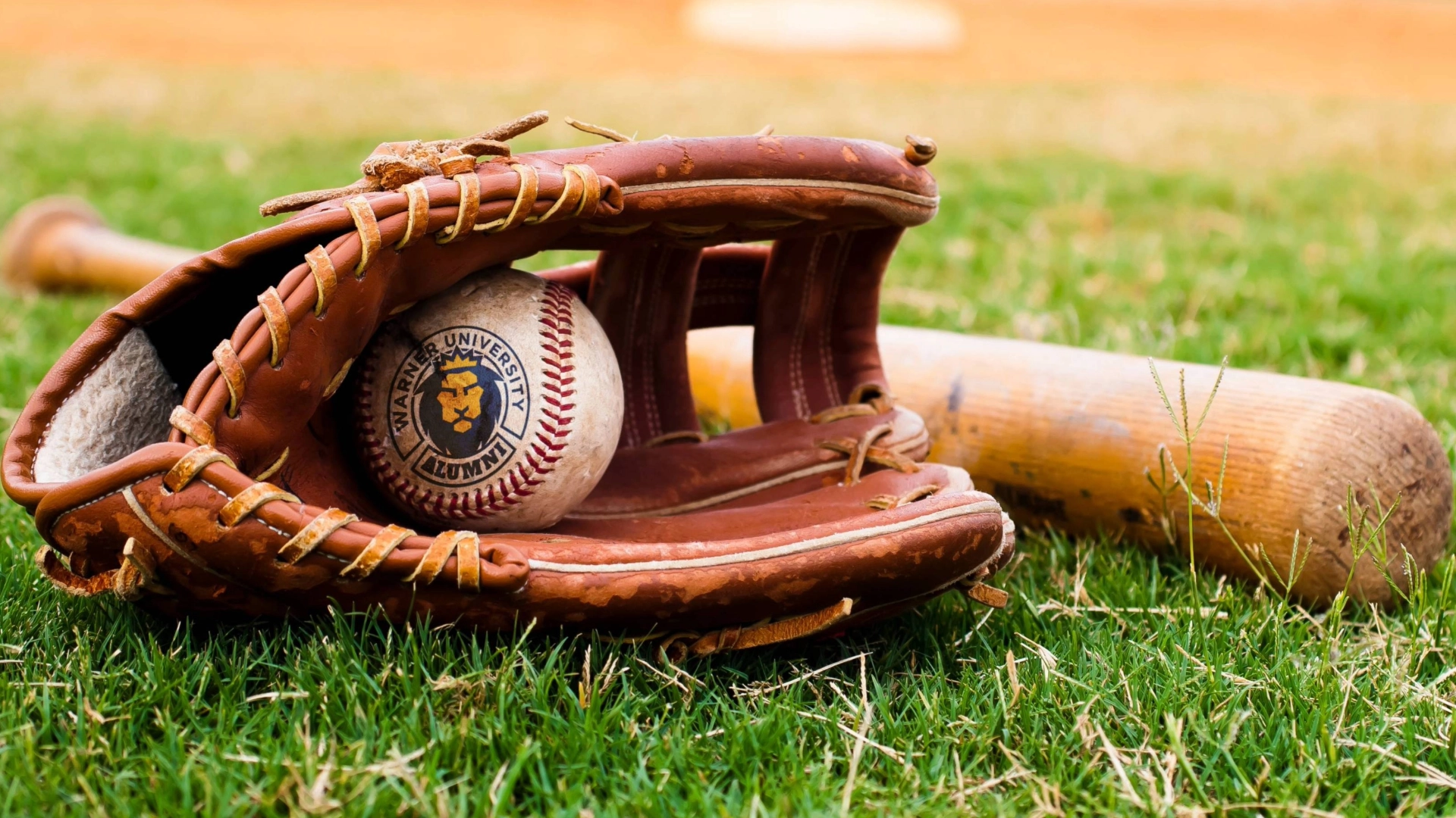 Warner Alumni Logo on Baseball with baseball glove and bat